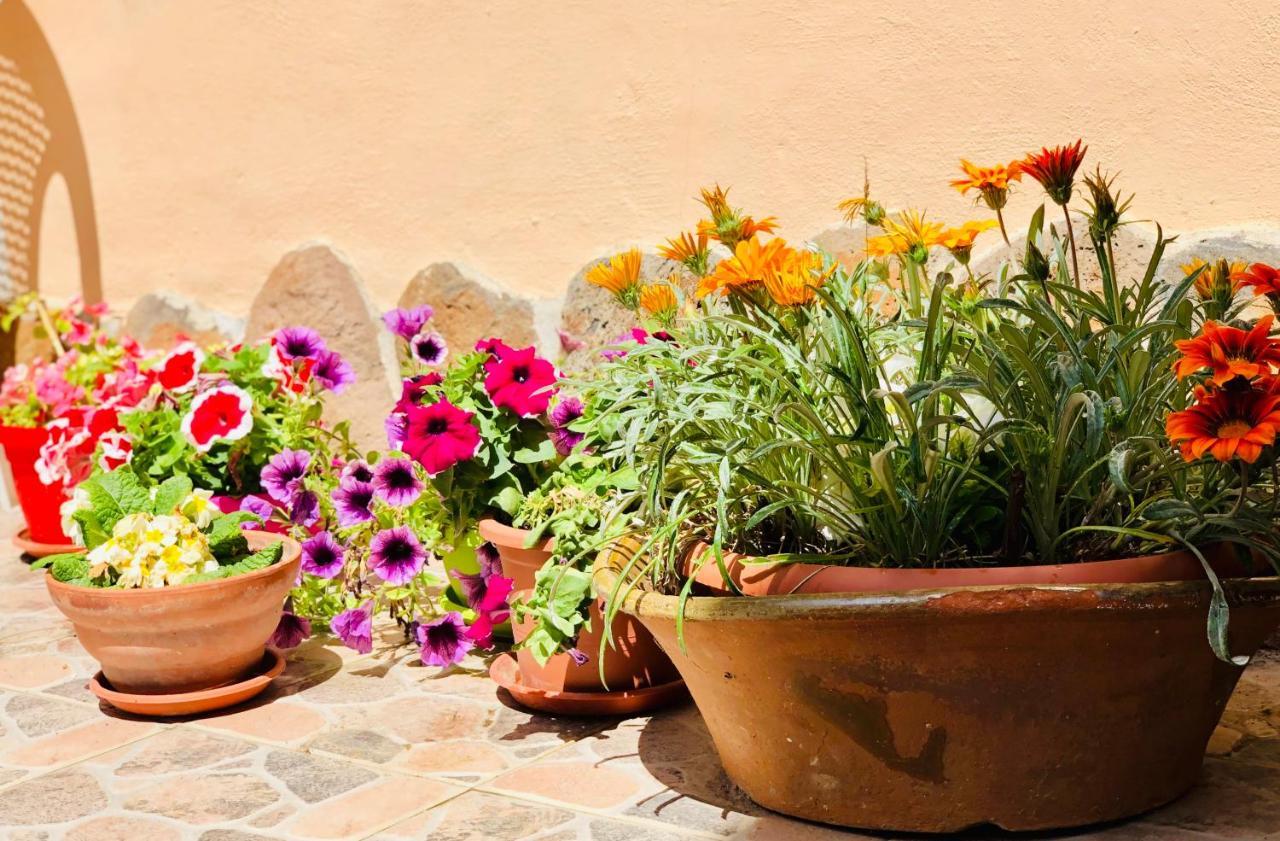 Domo All'Antico Borgo Oristano Bagian luar foto